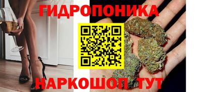 соль ск Обь