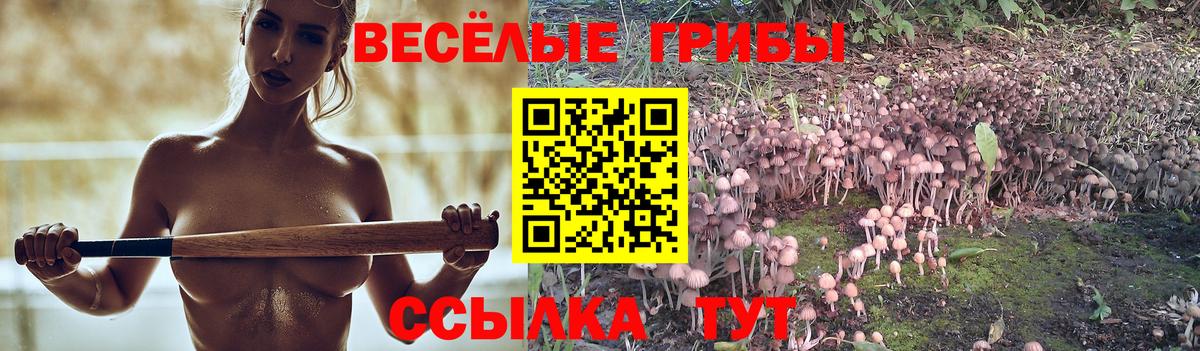 Сарапул  Псилоцибиновые грибы Cubensis  купить наркотики цена  Галлюциногенные грибы Psilocybe  Вход с VPN 
